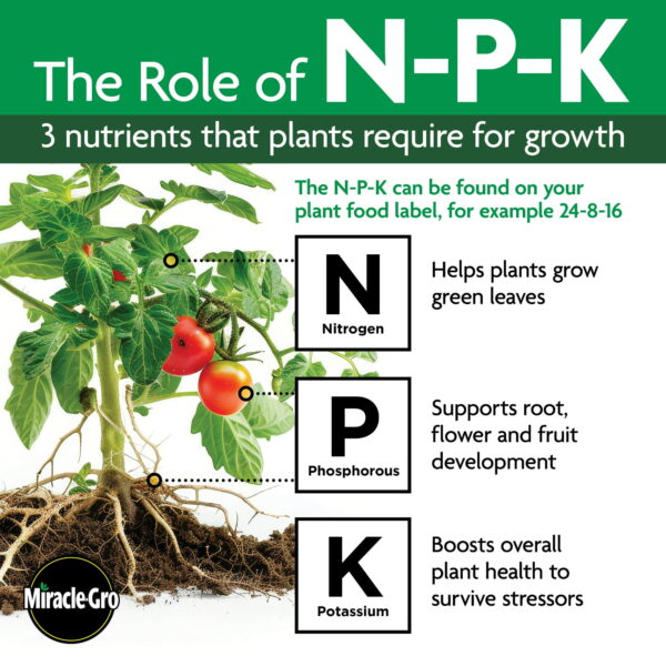 Miracle-Gro Performance Organics All Purpose Plant Nutrition 1 lb - Image 2