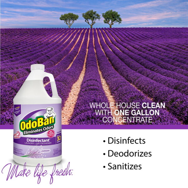 OdoBan Disinfectant Concentrate and Odor Eliminator, 2 Gallons, Lavender Scent - Image 4