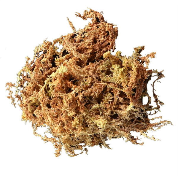 Mosser Lee Mosser Lee ML0110 Organic Sphagnum Moss, 432 Cubic Inch - Image 4